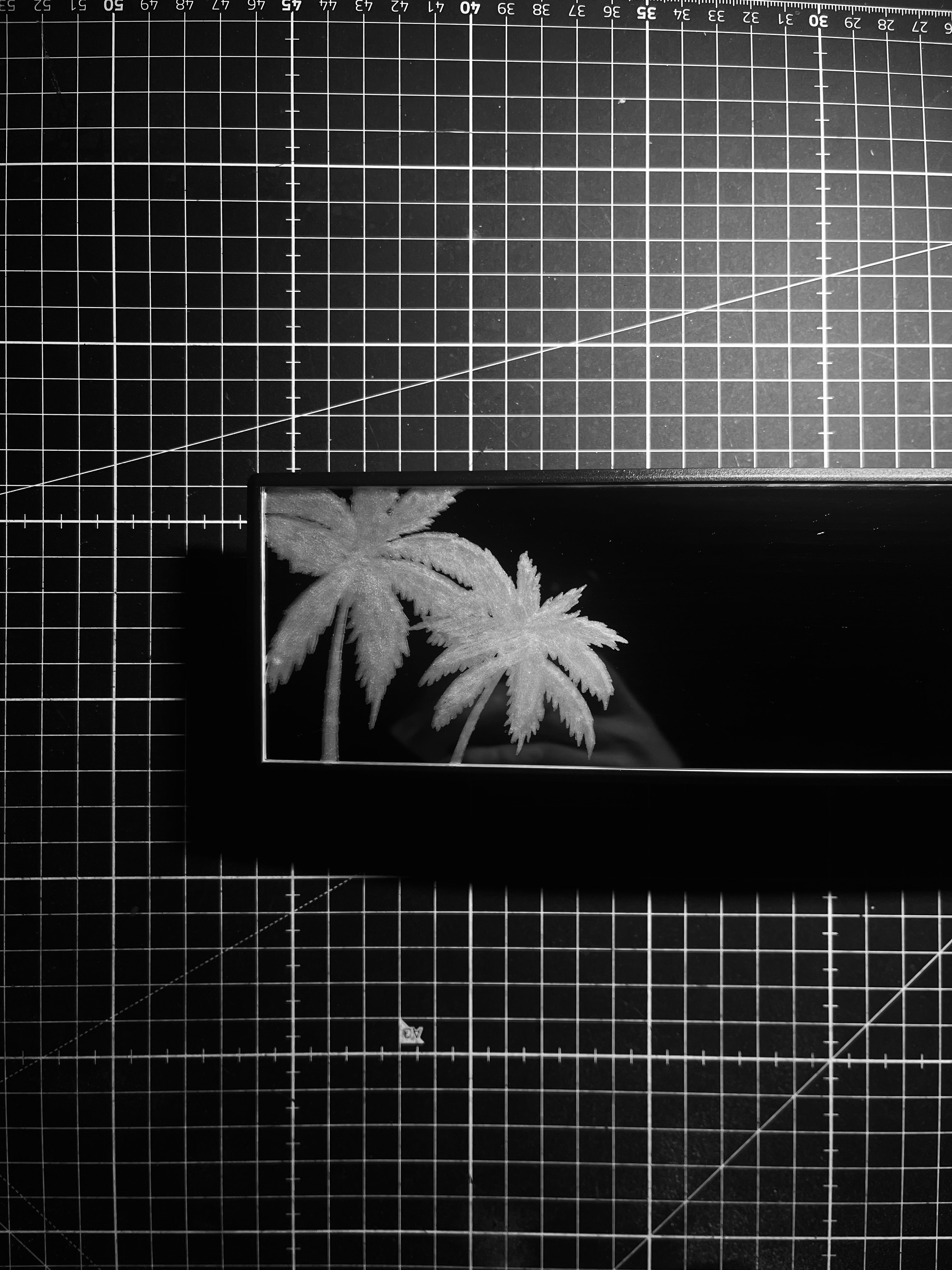 Palm trees - clip on rearview mirror