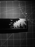 Palm trees - clip on rearview mirror