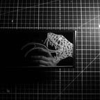 Duelling snakes - clip on rearview mirror